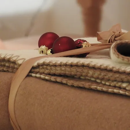 Center Apartman Saalfelden am Steinernen Meer